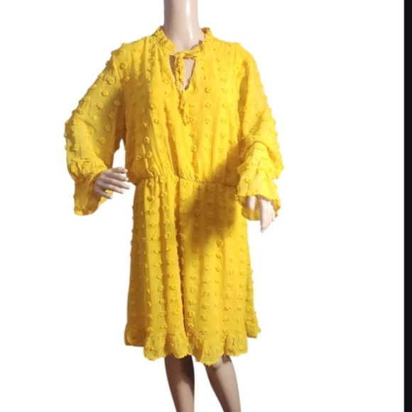 Tacera  Yellow Textured Swiss dot Dress size XL - Picture 1 of 8
